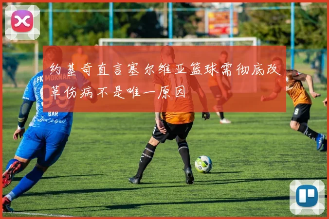 约基奇直言塞尔维亚篮球需彻底改革伤病不是唯一原因
