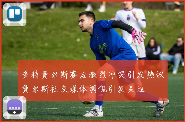 多特费尔斯赛后激烈冲突引发热议费尔斯社交媒体调侃引发关注